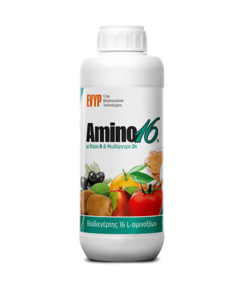 AMINO 16 B.Zn 1LT