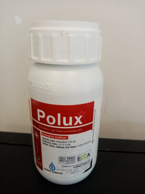 POLUX 250cc