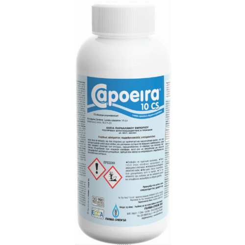 CAPOEIRA 10 CS 100cc