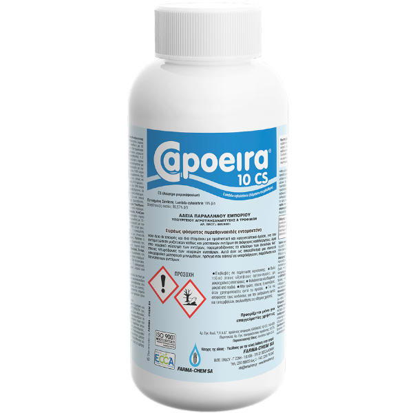 CAPOEIRA 10 CS 100cc