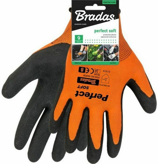 ΓΑΝΤΙΑ BRADAS No.11