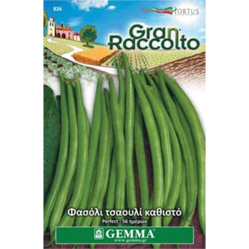 ΣΠΟΡΟΙ GEMMA ΦΑΚΕΛΑ ΦΑΣΟΛΙ ΤΣΑΟΥΛΙ ΚΑΘΙΣΤΟ