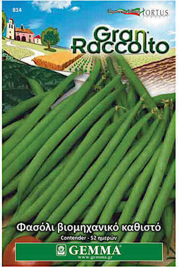 ΣΠΟΡΟΙ GEMMA ΦΑΚΕΛΑ ΦΑΣΟΛΙ ΒΙΟΜΗΧΑΝΙΚΟ ΚΑΘΙΣΤΟ